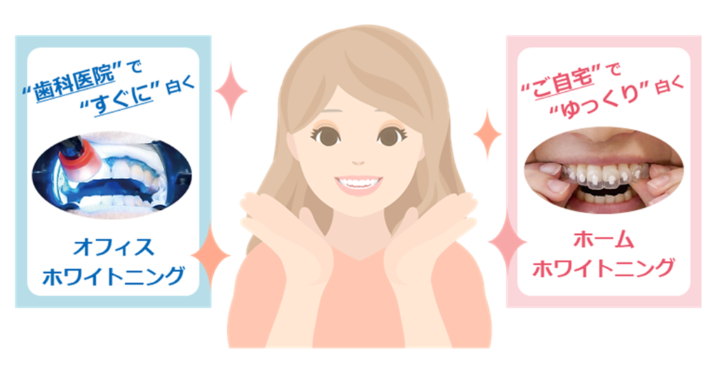 安全性とリスク