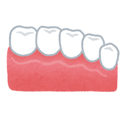 歯とその周りの組織